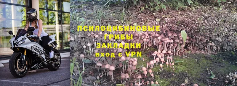 Псилоцибиновые грибы Magic Shrooms  Верхоянск 